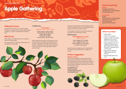 Apple Gathering