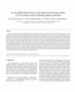 In situ AFM observations of the interaction between calcite - E