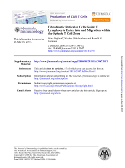 the Splenic T Cell Zone within Lymphocyte Entry into and Migration