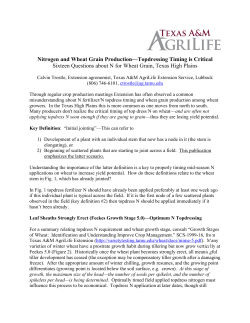 Nitrogen and Wheat Grain Production&mdash;Topdressing