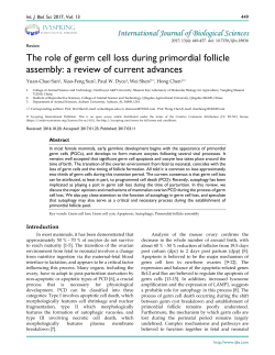 The role of germ cell loss during primordial follicle assembly: a