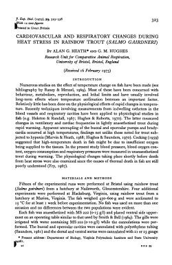 Heat Stress on Rainbow Trout - Journal of Experimental Biology