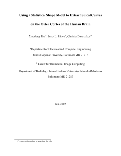 Using a Statistical Shape Model to Extract Sulcal Curves on the