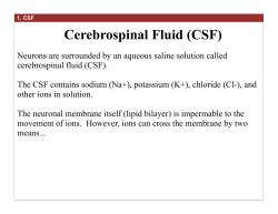 Cerebrospinal Fluid (CSF)