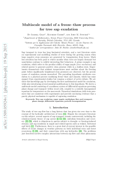 Multiscale model of a freeze-thaw process for tree sap exudation