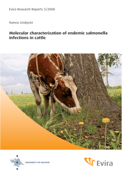 Molecular characterization of endemic salmonella infections