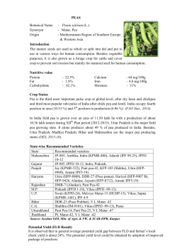 PEAS Botanical Name - Pisum sativum (L.) Synonym