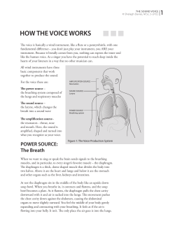 how the voice works
