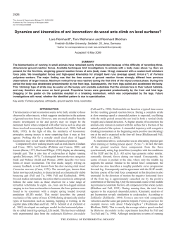 Dynamics and kinematics of ant locomotion: do wood ants climb on