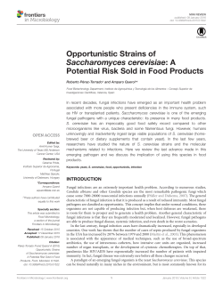 Opportunistic Strains of Saccharomyces cerevisiae: A Potential Risk