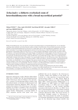 Sebacinales: a hitherto overlooked cosm of heterobasidiomycetes