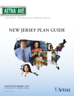 New Jersey Plan Guide (51&ndash;100 eligible employees)