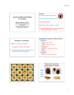 Common External Parasites of Poultry