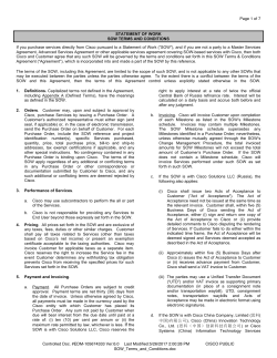 SOW Terms and Conditions