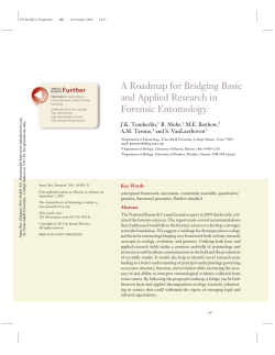 A Roadmap for Bridging Basic and Applied