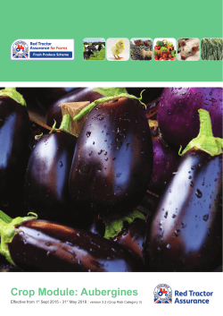 Aubergine 2016 - Red Tractor Assurance