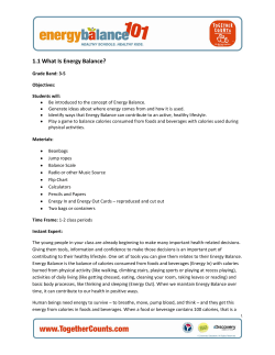 1.1 What Is Energy Balance?