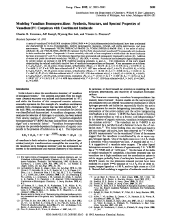 Modeling Vanadium Bromoperoxidase