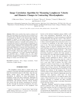 Publications_files/Image correlation algorithm for measuring