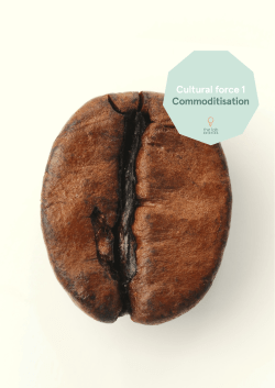 Cultural force 1 Commoditisation