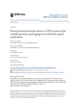 Portal protein functions akin to a DNA