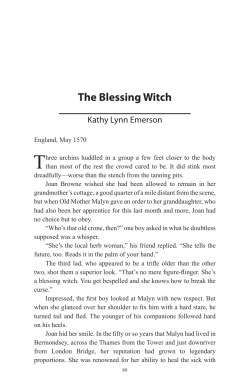 The Blessing Witch - Kathy Lynn Emerson
