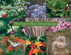 Plant ES Native - The Virginia Department of Environmental Quality