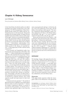 Kidney Senescence - American Society of Nephrology