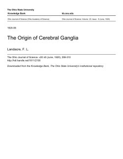 The Origin of Cerebral Ganglia - Ohio State University Knowledge