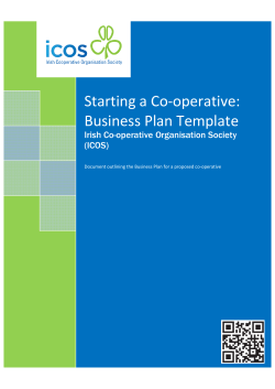 Starting a Co-operative: Business Plan Template