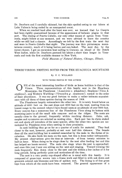 Three Vireos: Nesting Notes from the Huachuca Mountains (with