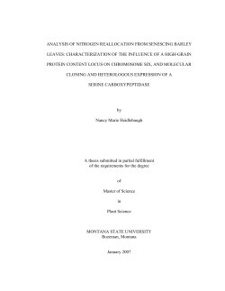 analysis of nitrogen reallocation from senescing