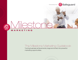 The Milestone Marketing Guidebook