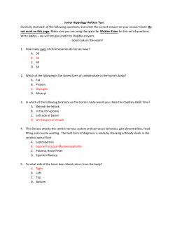 Junior Hippology Written Test Carefully read each of the following