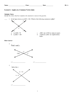 ExamView - Lesson 6 Angles at a Common Vertex Quiz.tst