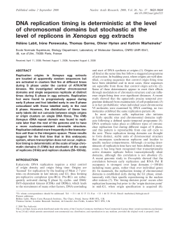 DNA replication timing is deterministic at the level of chromosomal