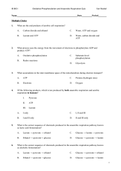 IB BIO I Oxidative Phosphorylation and Anaerobic Respiration Quiz