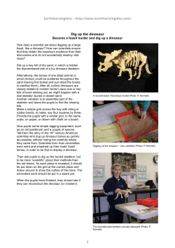 Dig up the dinosaur - Earth Learning Idea