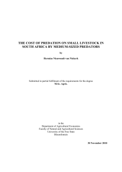 the cost of predation on small livestock in south africa by medium