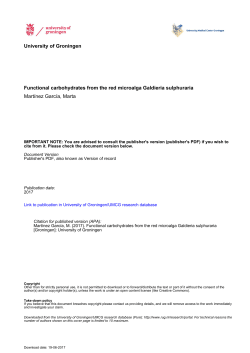 University of Groningen Functional carbohydrates from the