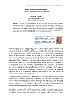 Might insects experience pain?