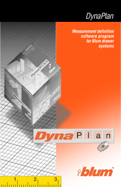 DynaPlan manual core
