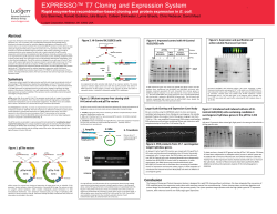 EXPRESSO&trade; T7 Cloning and Expression System