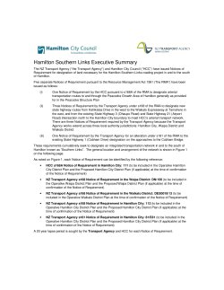 Hamilton Southern Links Executive Summary