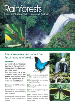 Rainforests - Cairns Magazine