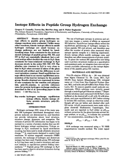 Isotope effects in peptide group hydrogen exchange