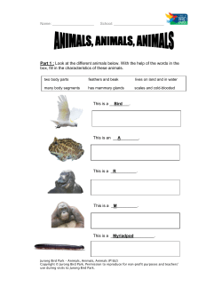 Part 1 : Look at the different animals below. With