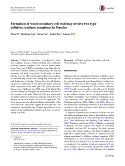 Formation of wood secondary cell wall may involve two type