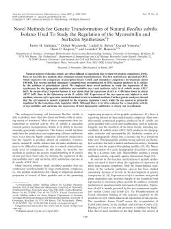 Novel Methods for Genetic Transformation of