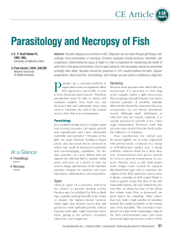 Parasitology and Necropsy of Fish